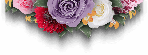 Tutti - Jaro Design Studio - 1 Background Image
