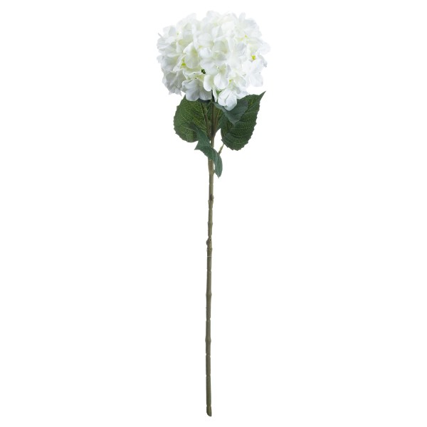 Single White Hydrangea Stem