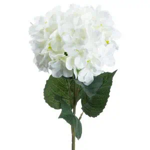 Single White Hydrangea Stem - Image 2