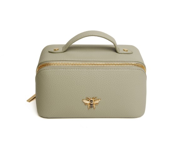 Alice Wheeler Mini Train Case - Pistachio