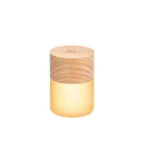 Ginkgo Design Lemelia Mood Light - White Ash Wood - JX22