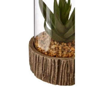 Succulent, Natural Stone Base - Jaro - Jaro Design Studio - 2