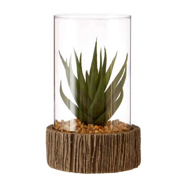 Succulent, Natural Stone Base - Jaro - Jaro Design Studio - 1
