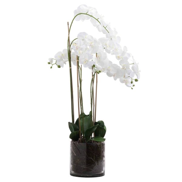 Large White Tall Orchid In Glass Pot by Hill Interiors - Jaro - Jaro Design Studio - 1