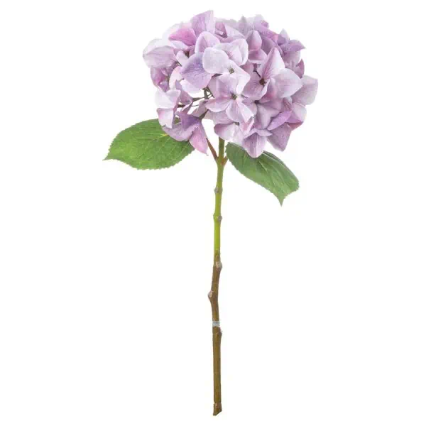 Shabby Purple Single Hydrangea