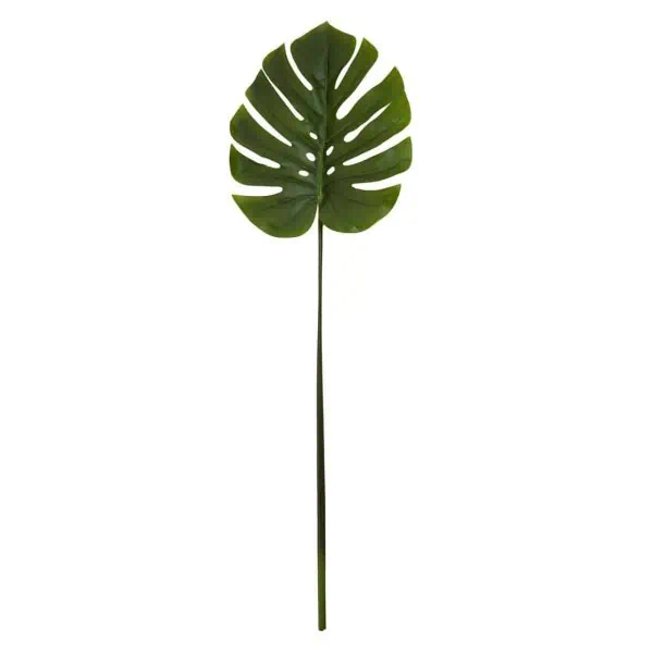 Green Stem Monstera Palm by Fiori - Jaro