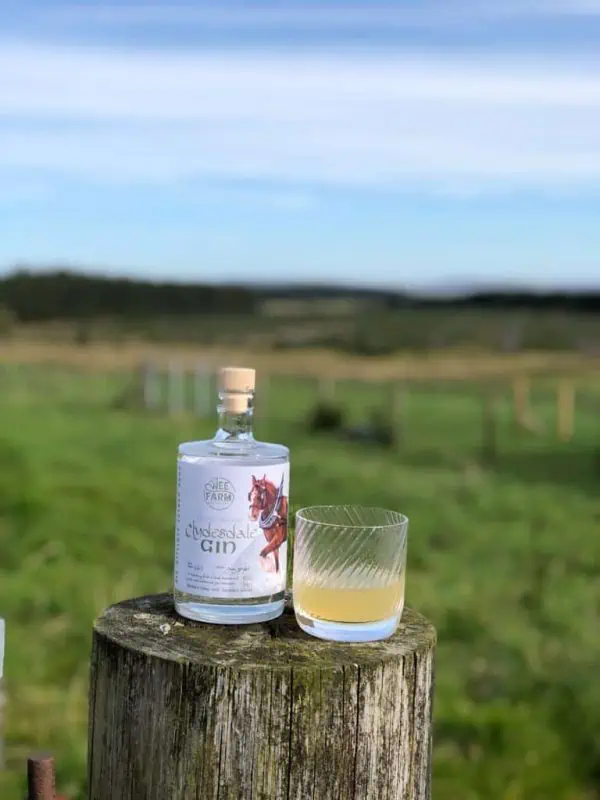 The Wee Farm Distillery, Clydesdale Gin