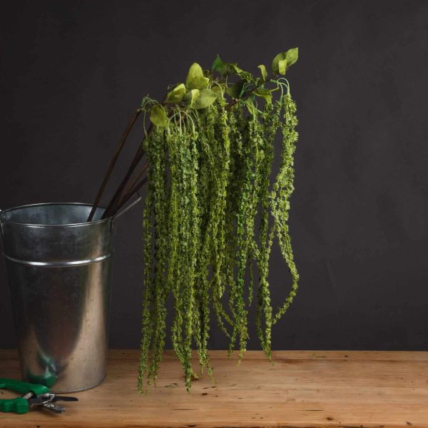 Green Amaranthus - Jaro - Jaro Design Studio - 1