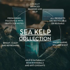 Scottish Fine Soaps Sea Kelp Hand Lotion, 300ml - Image 2
