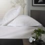 The Lyndon Company 200 Thread Count Cotton, Standard Pillowcase Pair - White