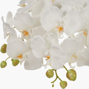 White Orchid in Moss Pot - Image 4
